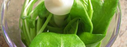 запеканка итальянцы в россии. Шаг 6