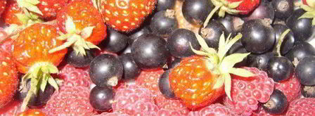 запеканка овощная с тушенкой. Шаг 6