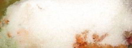 аджика из кабачков на зиму. Шаг 5