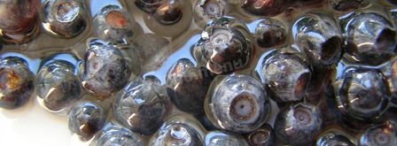 черника в собственном соку на зиму без сахара. Шаг 4