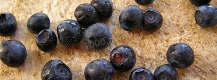 черника в собственном соку на зиму без сахара. Шаг 7