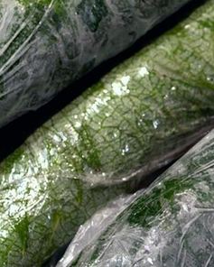 Долма на зиму