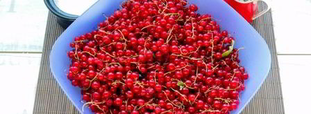 джем из красной смородины. Шаг 5