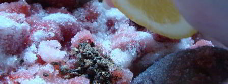 клубничный джем с ванилью и черным перцем. Шаг 7