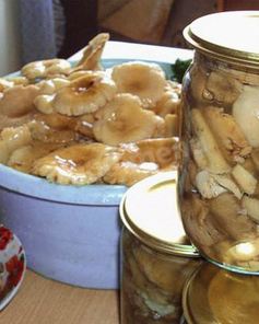 Грибы сыроежки на зиму