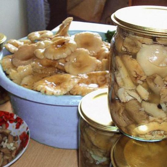 Рецепт грибов сыроежки на зиму