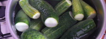 хрустящие огурцы. Шаг 4