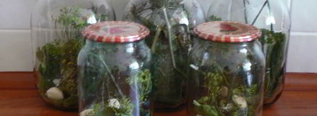 хрустящие огурцы. Шаг 6