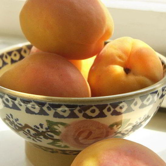 Рецепт компота из абрикосов без стерилизации