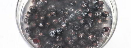 компот из черноплодки. Шаг 3