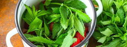 компот из клубники с мятой на зиму. Шаг 8