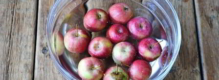 компот из ранеток на зиму без стерилизации. Шаг 6