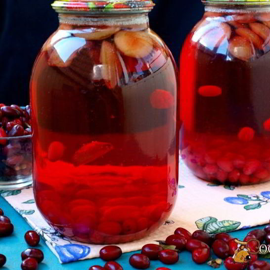 Рецепт компота из слив и кизила