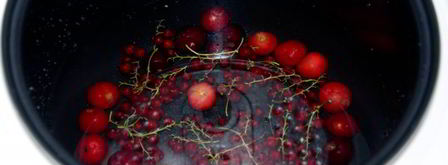 компот из вишни. Шаг 3