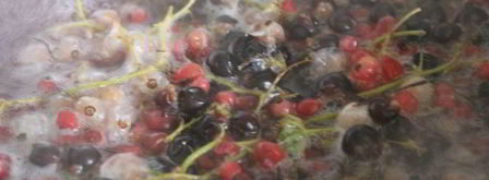 смородиновый компот с корицей. Шаг 3