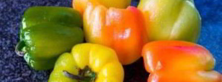 лечо из перца и помидоров. Шаг 3