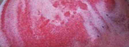 лечо пальчики оближешь. Шаг 4