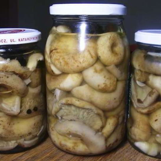 Рецепт груздей маринованных хрустящих