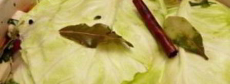 капуста по-армянски. Шаг 5