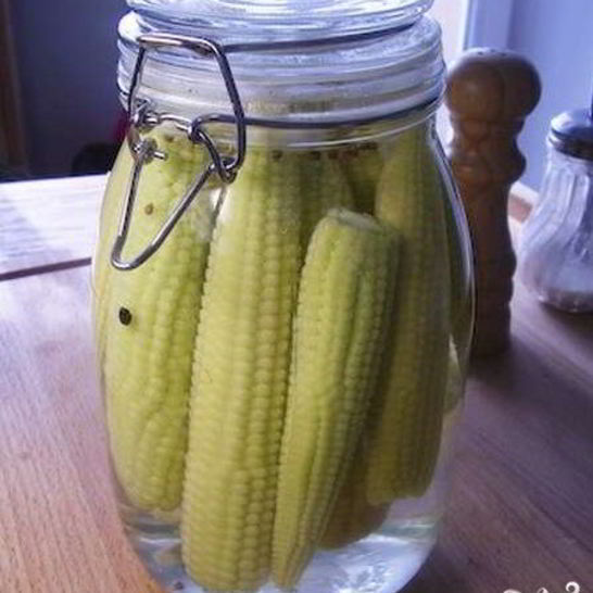 Рецепт маринованной молодой кукурузы на зиму