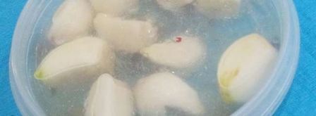 маринованный чеснок. Шаг 6