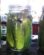 Маринованные огурцы хрустящие на зиму