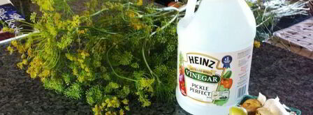 маринованные огурцы хрустящие на зиму. Шаг 4