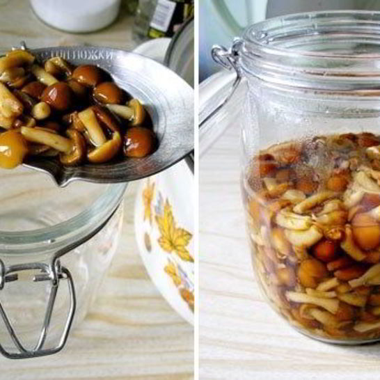 Рецепт маринованных опят без закатки