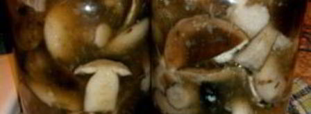 маринованные подберезовики на зиму. Шаг 4