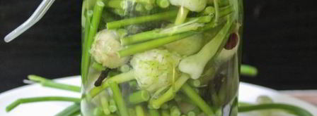 маринованные стрелки чеснока. Шаг 11