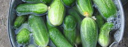 огурцы маринованные. Шаг 3