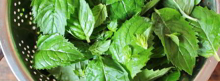 мятный сахар на зиму. Шаг 3