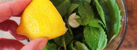 мятный сахар на зиму. Шаг 5