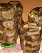 Подберезовики на зиму