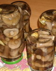 Подберезовики на зиму