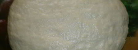 розочка-бутон с повидлом. Шаг 10