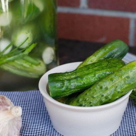 Рецепт быстрых малосольных огурцов в банке