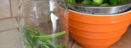 быстрые малосольные огурцы в банке. Шаг 4