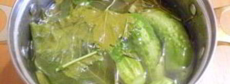 хрустящие малосольные огурчики. Шаг 9