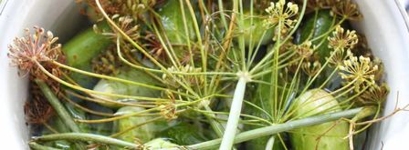 малосольные огурчики на минералке. Шаг 4