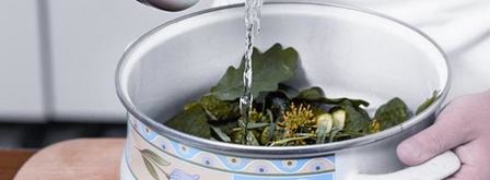 малосольные огурчики с хреном. Шаг 4