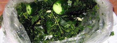 малосольные огурчики. Шаг 14