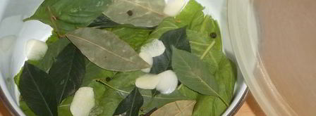 малосольные огурцы к обеду. Шаг 5