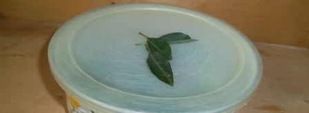 малосольные огурцы к обеду. Шаг 8