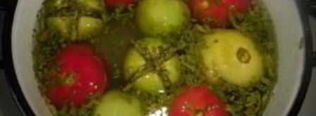 малосольные помидоры по-армянски с чесноком. Шаг 7