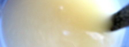 малосольные помидоры суточные. Шаг 10