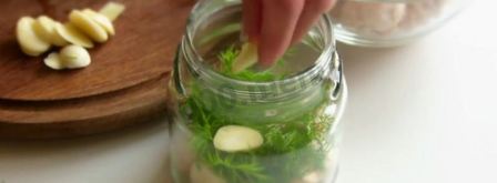 малосольные шампиньоны. Шаг 3