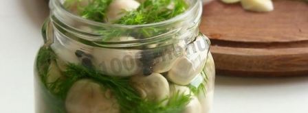 малосольные шампиньоны. Шаг 6