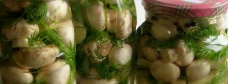 малосольные шампиньоны. Шаг 7