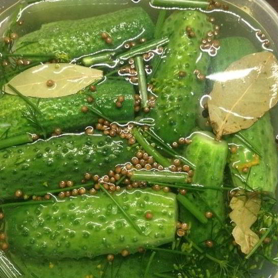 Рецепт огурцов малосольных летних на удачу